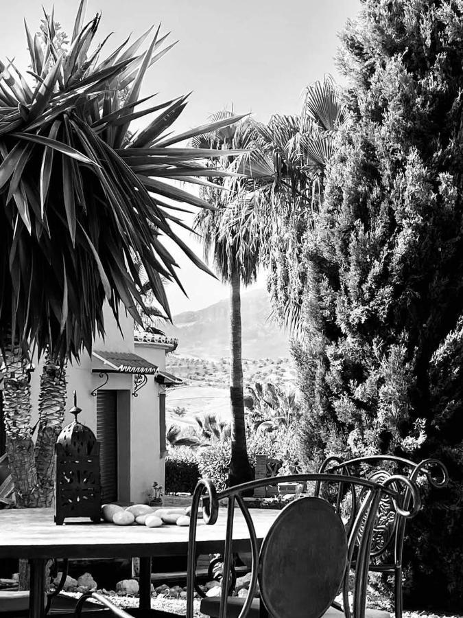 Premium Bed & Breakfast Casa Alegria Andaluza Los Romanes Exterior foto